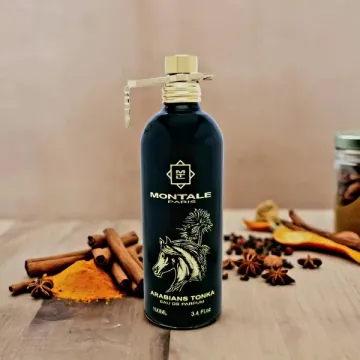 Montale Arabians Tonka Probe