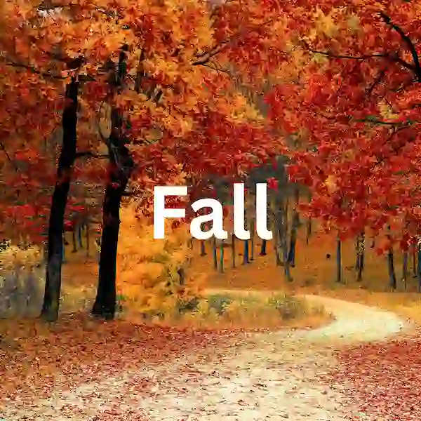 Fall